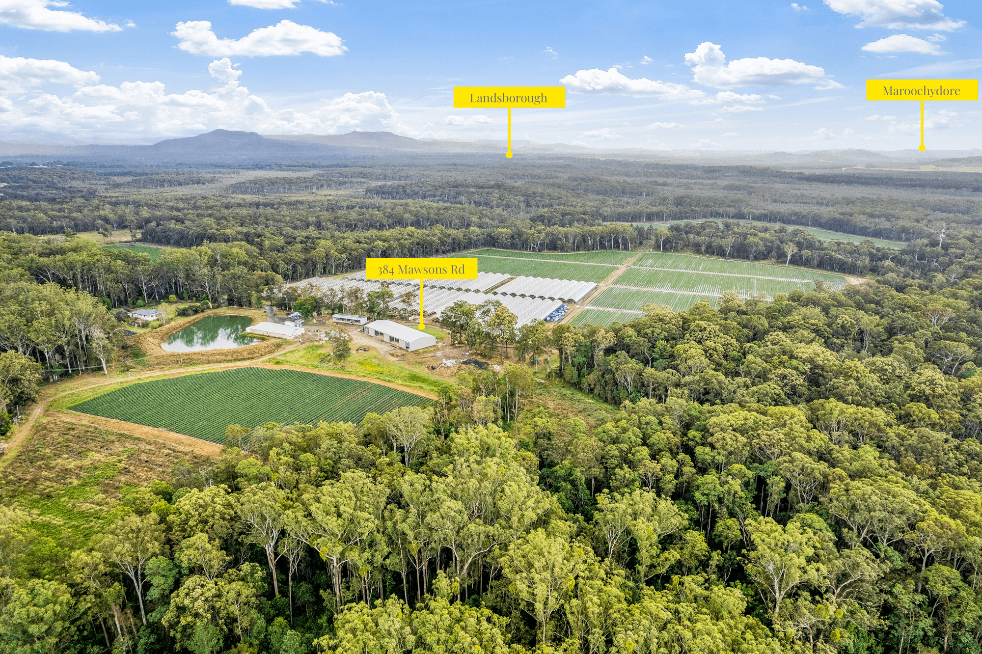 384 Mawsons Road, BEERWAH, QLD 4519