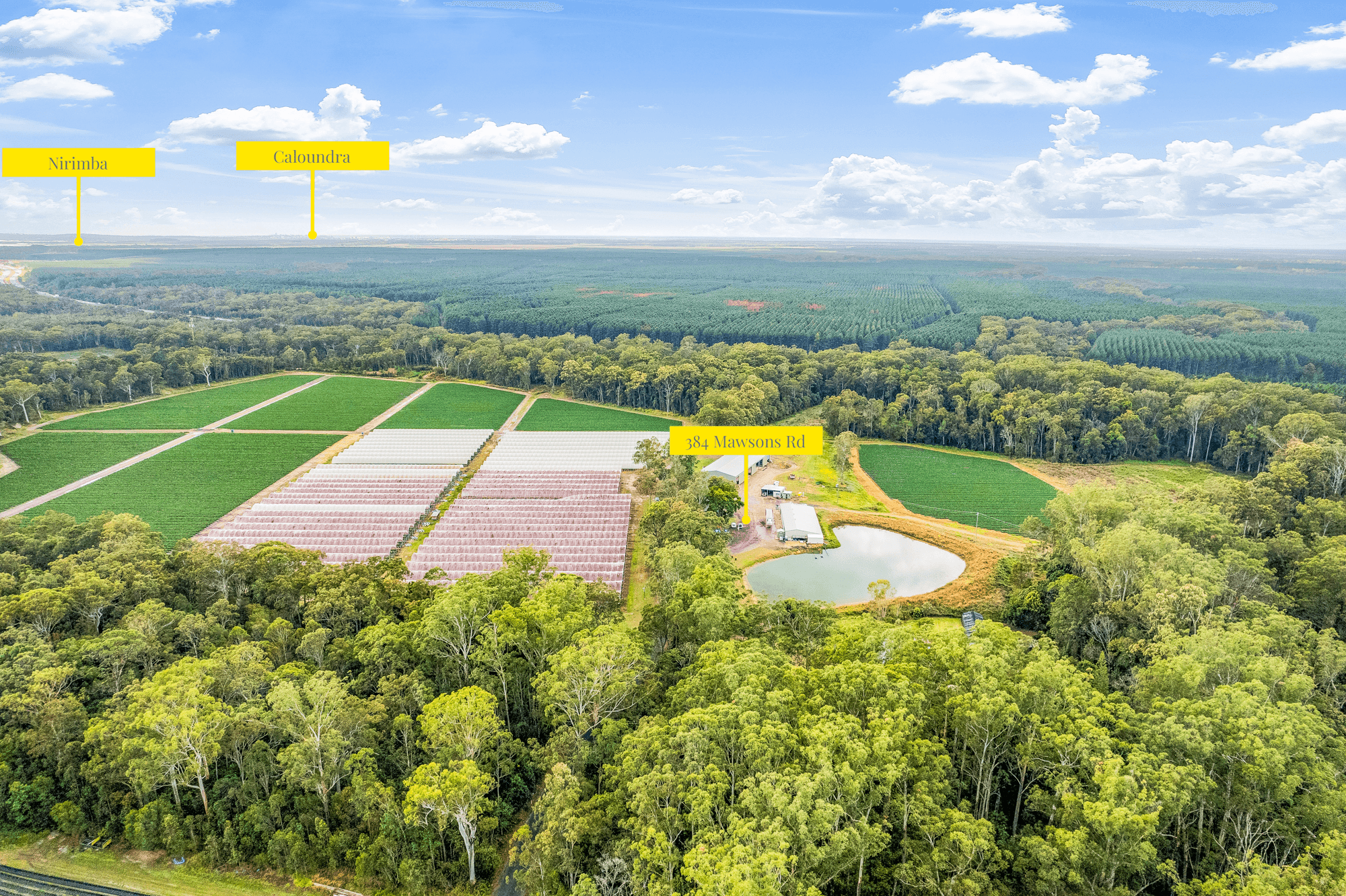 384 Mawsons Road, BEERWAH, QLD 4519