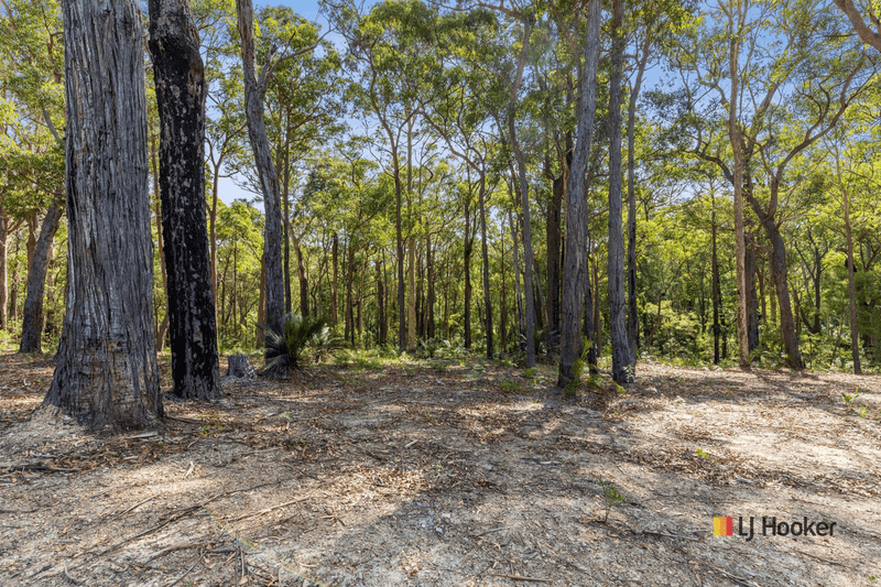 Lot 30 Clyde View Drive, LONG BEACH, NSW 2536