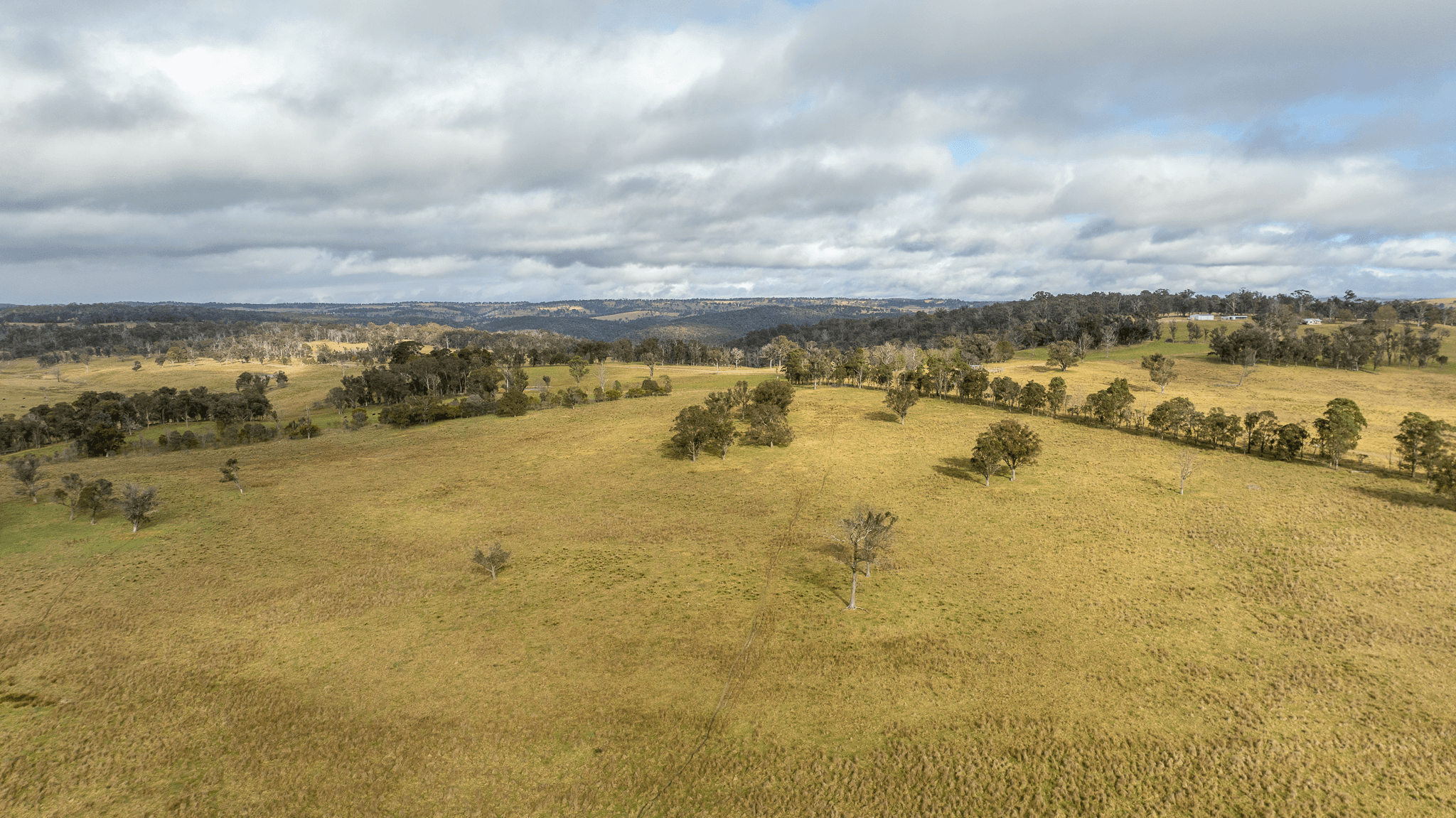 737 Dyamberin Road, WONGWIBINDA, NSW 2350