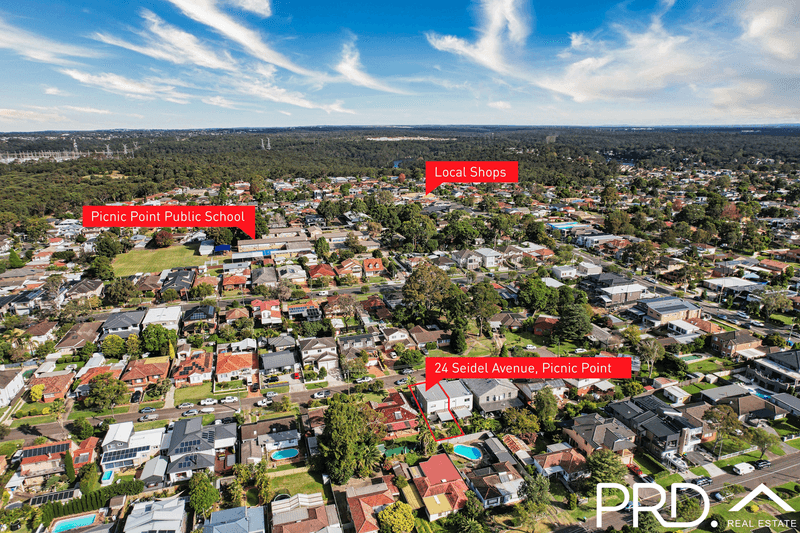 24 Seidel Avenue, PICNIC POINT, NSW 2213