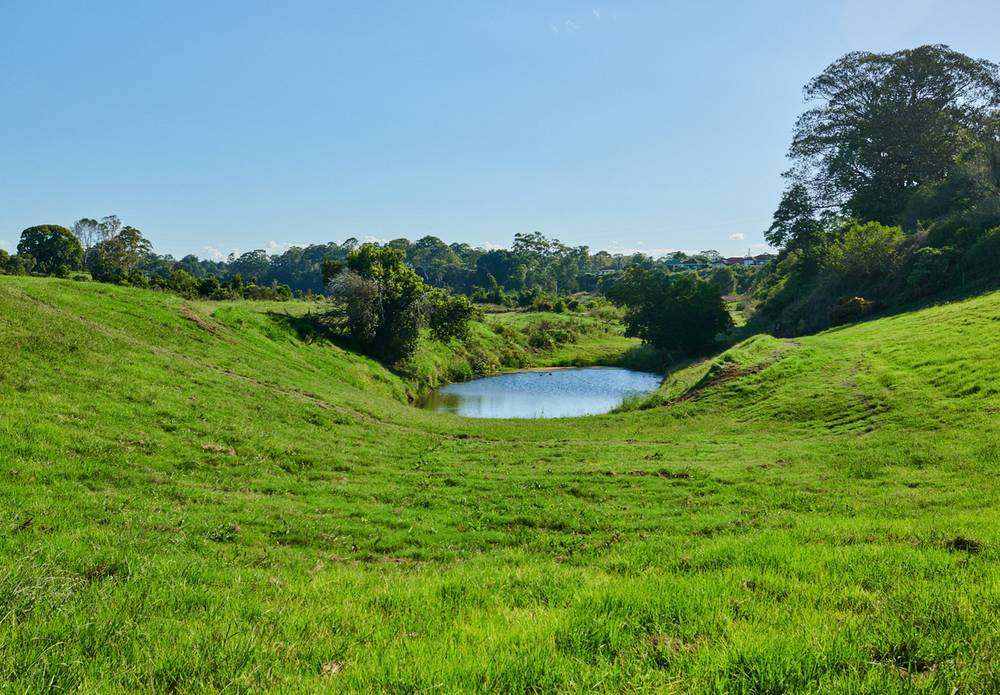 2 Farquhar Street, WINGHAM, NSW 2429