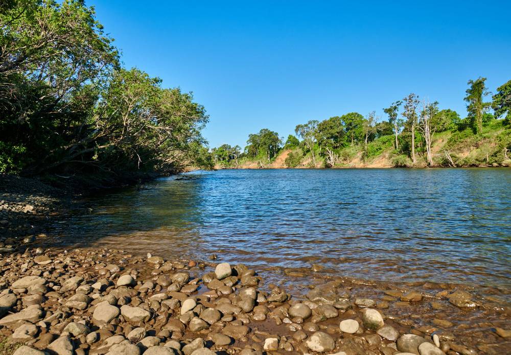 2 Farquhar Street, WINGHAM, NSW 2429