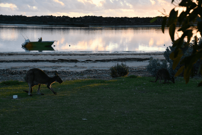 33 Baird Bay Road, Baird Bay, SA 5671