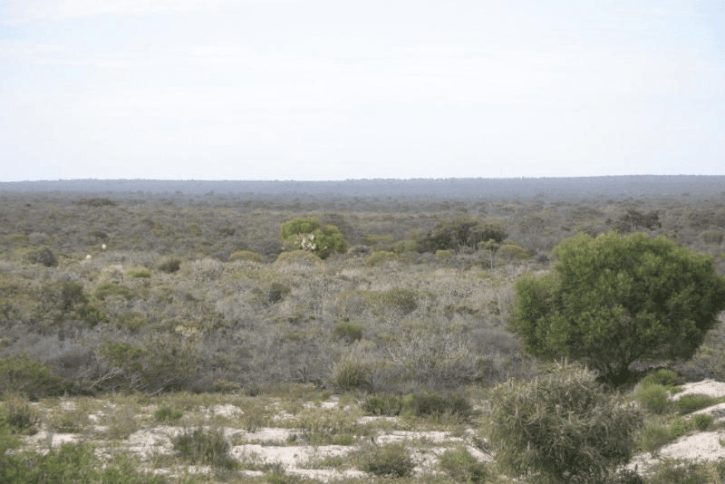 Lot 10112 Binnu West Road, Kalbarri, WA 6536