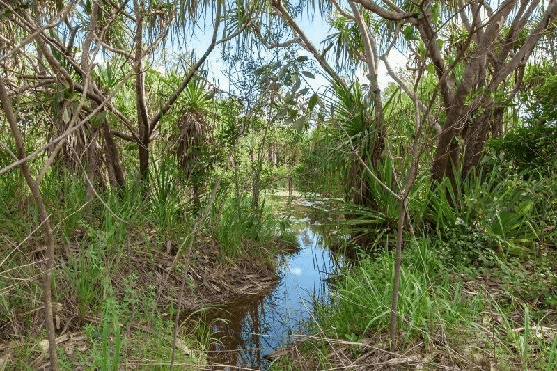 Lot 720 Letchford Road, Darwin River, NT 0841