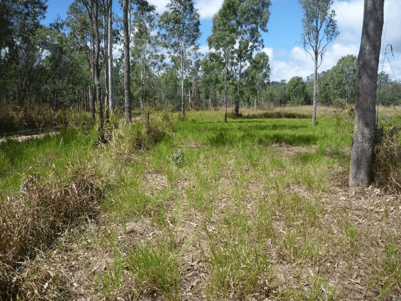 Lot 37 Wetherby Road, Mount Molloy, QLD 4871