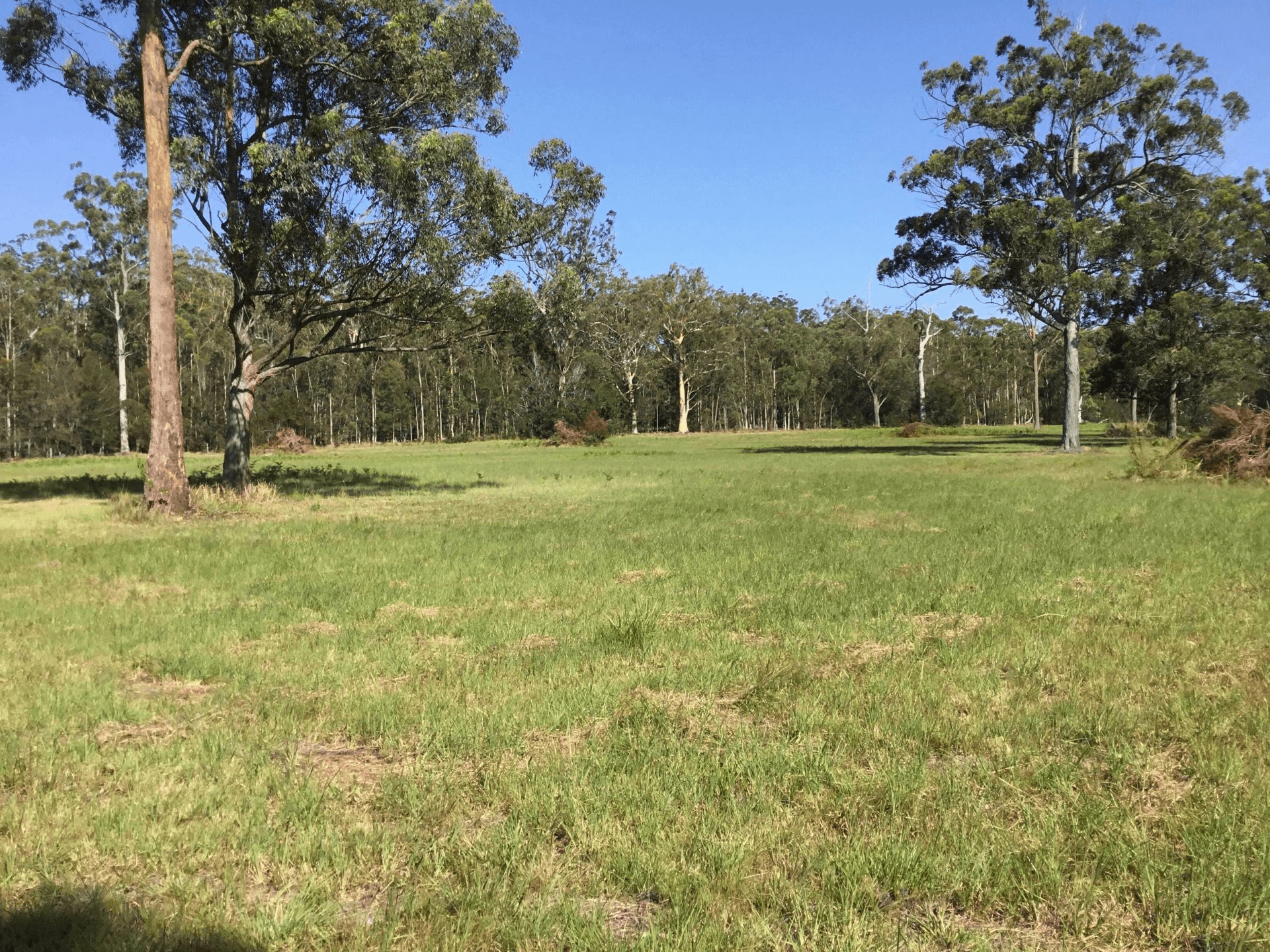 Lot 1 Beranghi Road, Crescent Head, NSW 2440