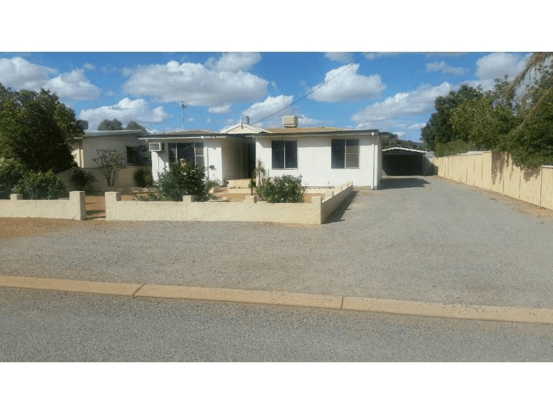 87 Williamson Street, THREE SPRINGS, WA 6519