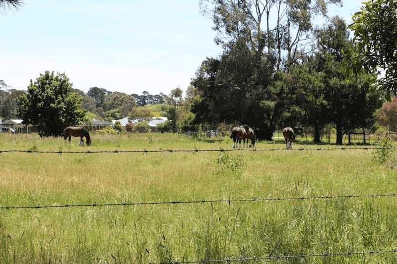 1 Chandlers Lane, KILSYTH SOUTH, VIC 3137