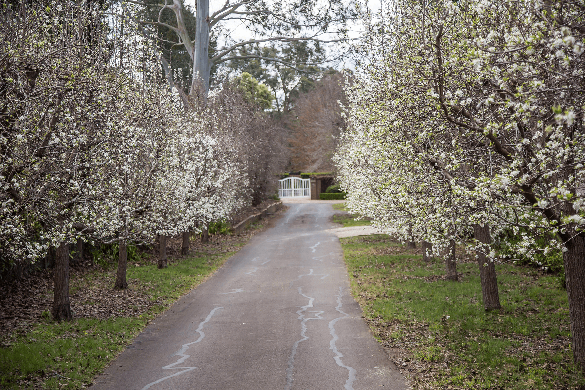 22 Charlotte Street, BURRADOO, NSW 2576