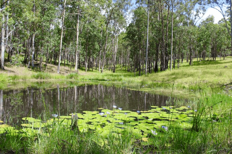 115 Bushy Drive, TABULAM, NSW 2469