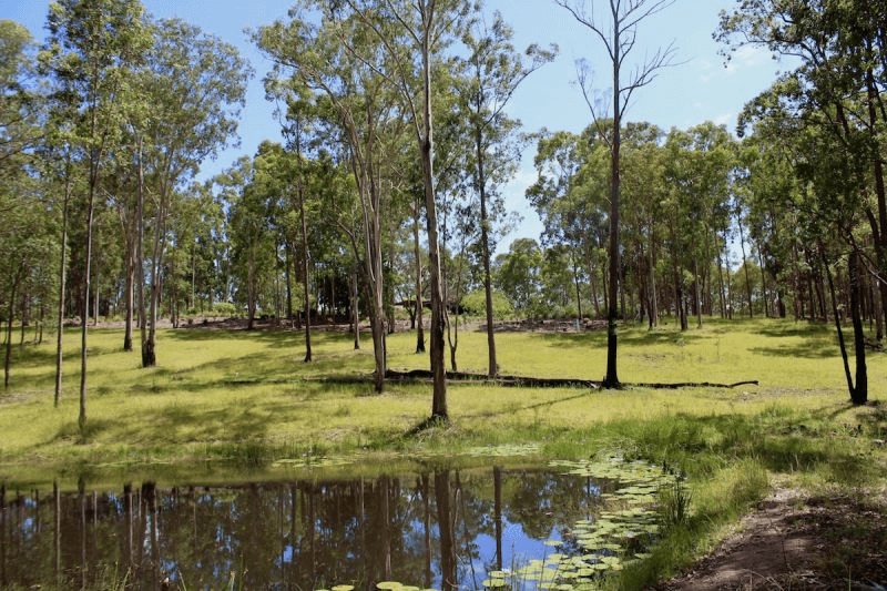 115 Bushy Drive, TABULAM, NSW 2469