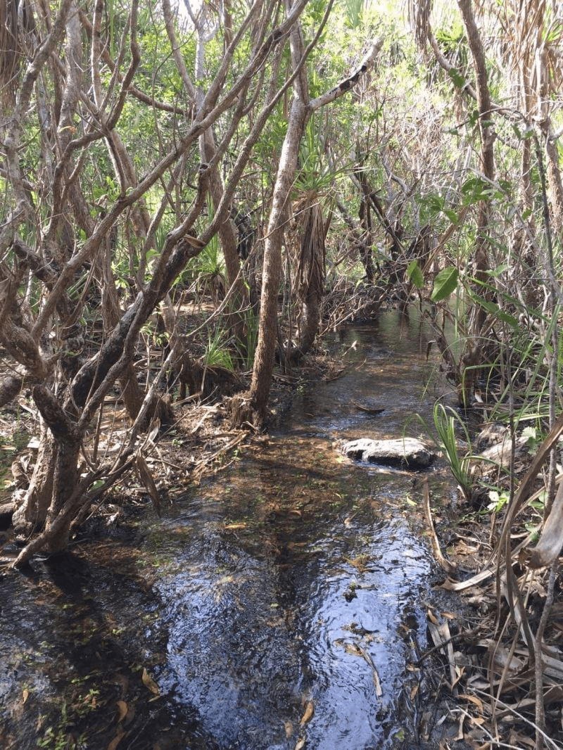 460 Peacock road, DARWIN RIVER, NT 0841