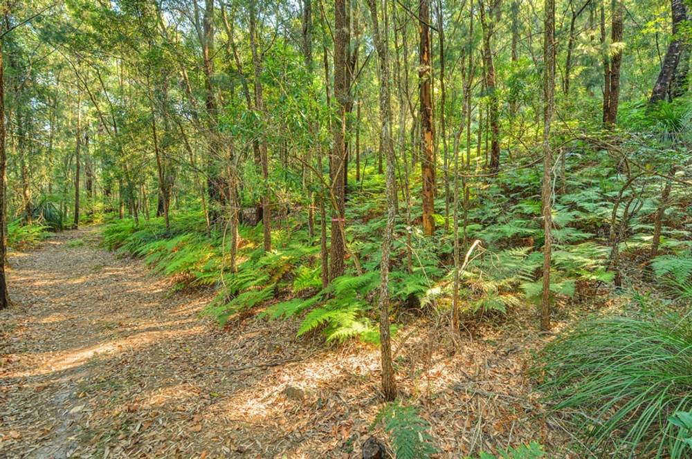 2690 Hawkesbury River, (Lot 7 Big Jims Point), Bar Point, NSW 2083