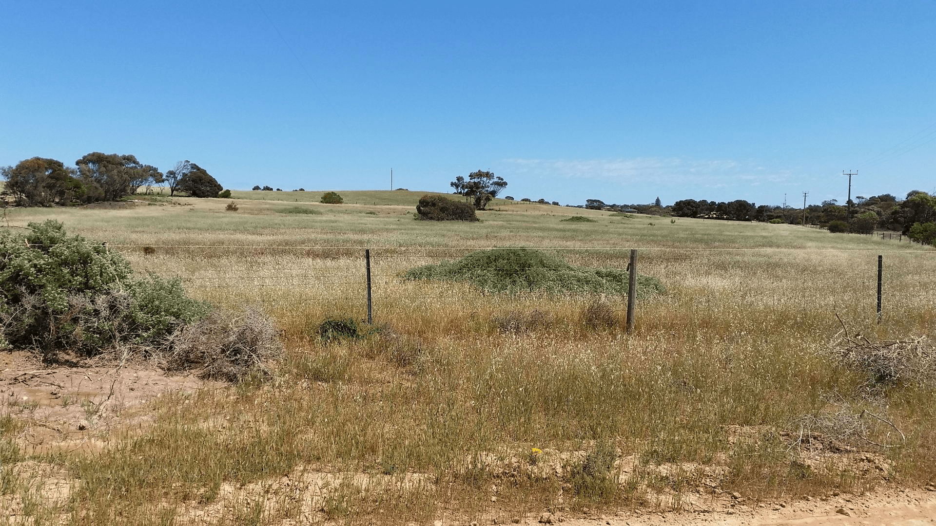 Section 67 Alcanabie Road, STREAKY BAY, SA 5680