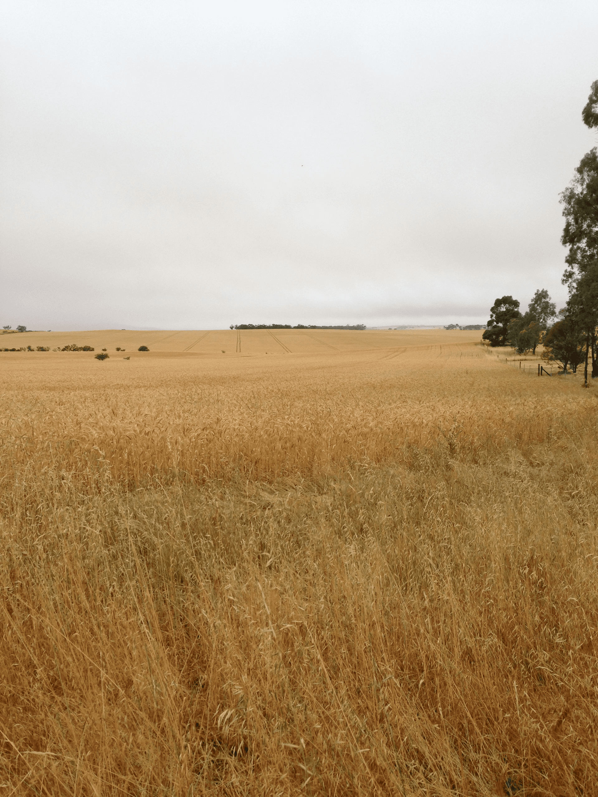 Lot 23 Main Street, HUDDLESTON, SA 5523