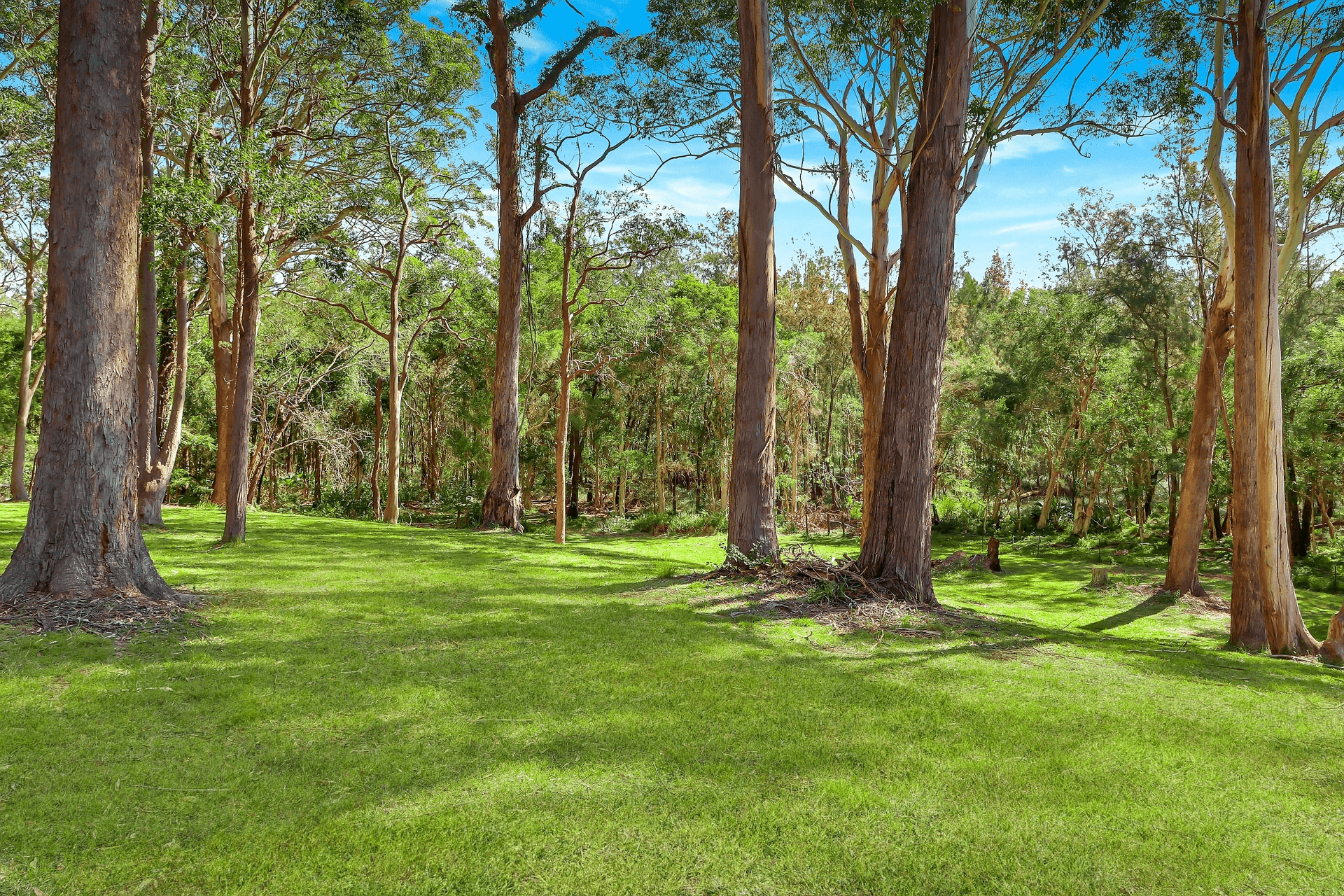 42 Bilinga Road, Kincumber, NSW 2251