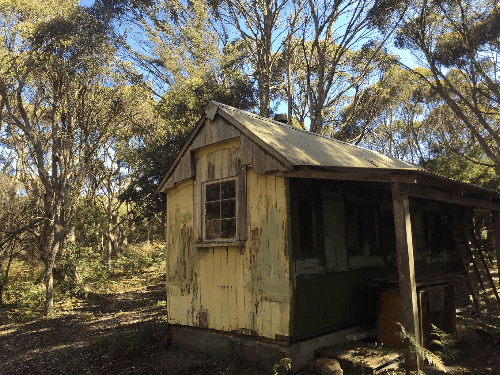 205 Arthur River Road, MARRAWAH, TAS 7330