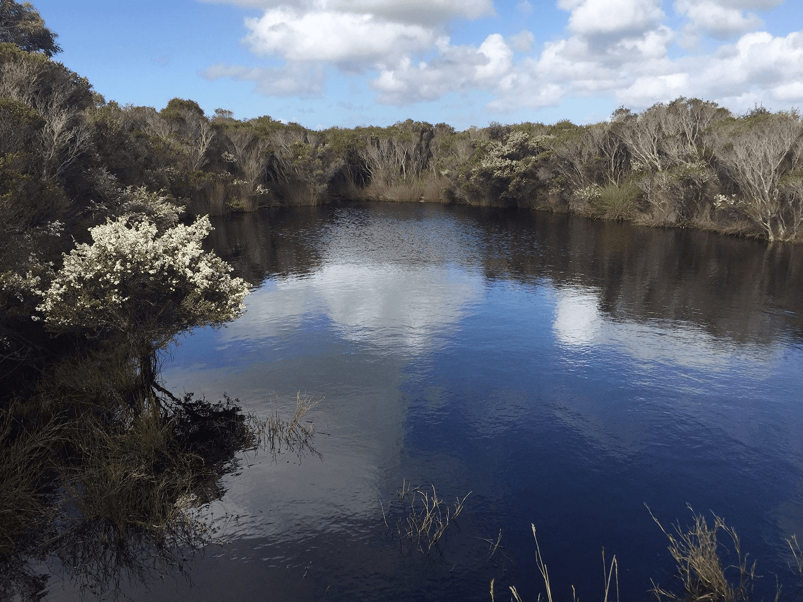 205 Arthur River Road, MARRAWAH, TAS 7330