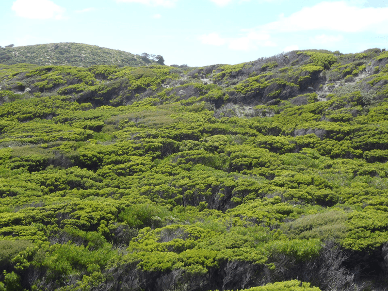 Lot 2 South Road, NUGARA, TAS 7256