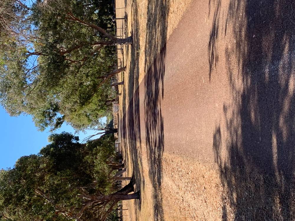 400 Puzey Road, WILYABRUP, WA 6280