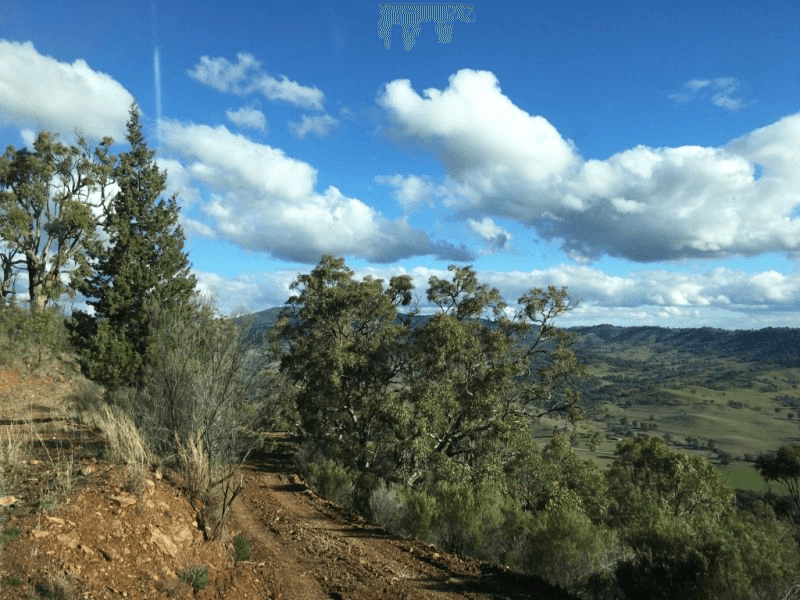 3381 Halls Creek Rd, HALLS CREEK, NSW 2346