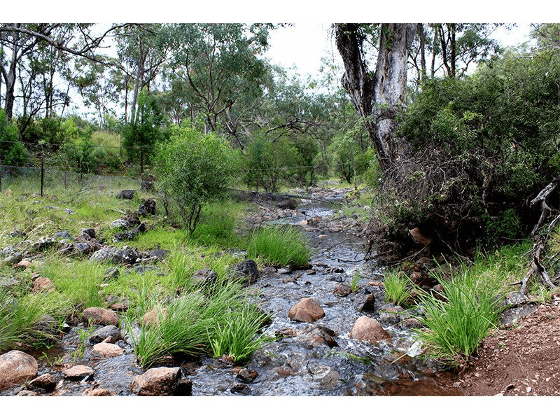 3381 Halls Creek Rd, HALLS CREEK, NSW 2346