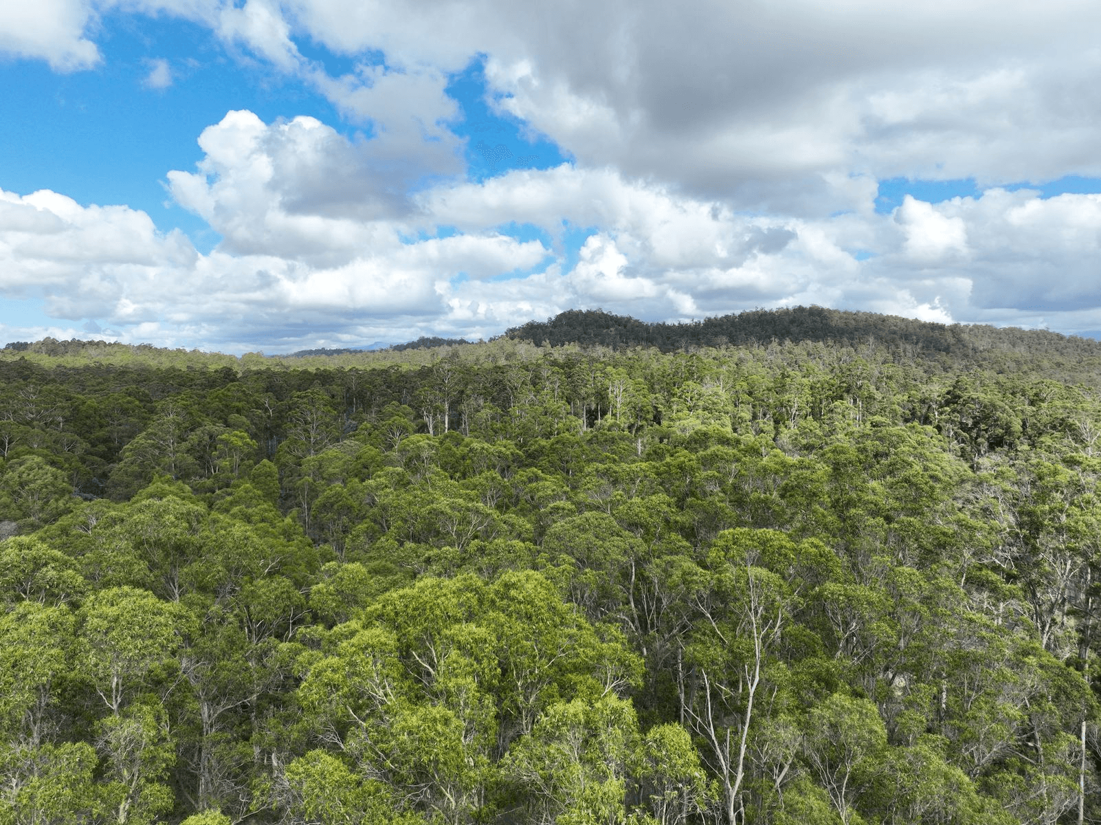 Lot 9 River Road, DELORAINE, TAS 7304