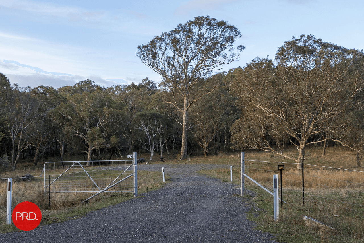 250 The Forest Road, BYWONG, NSW 2621