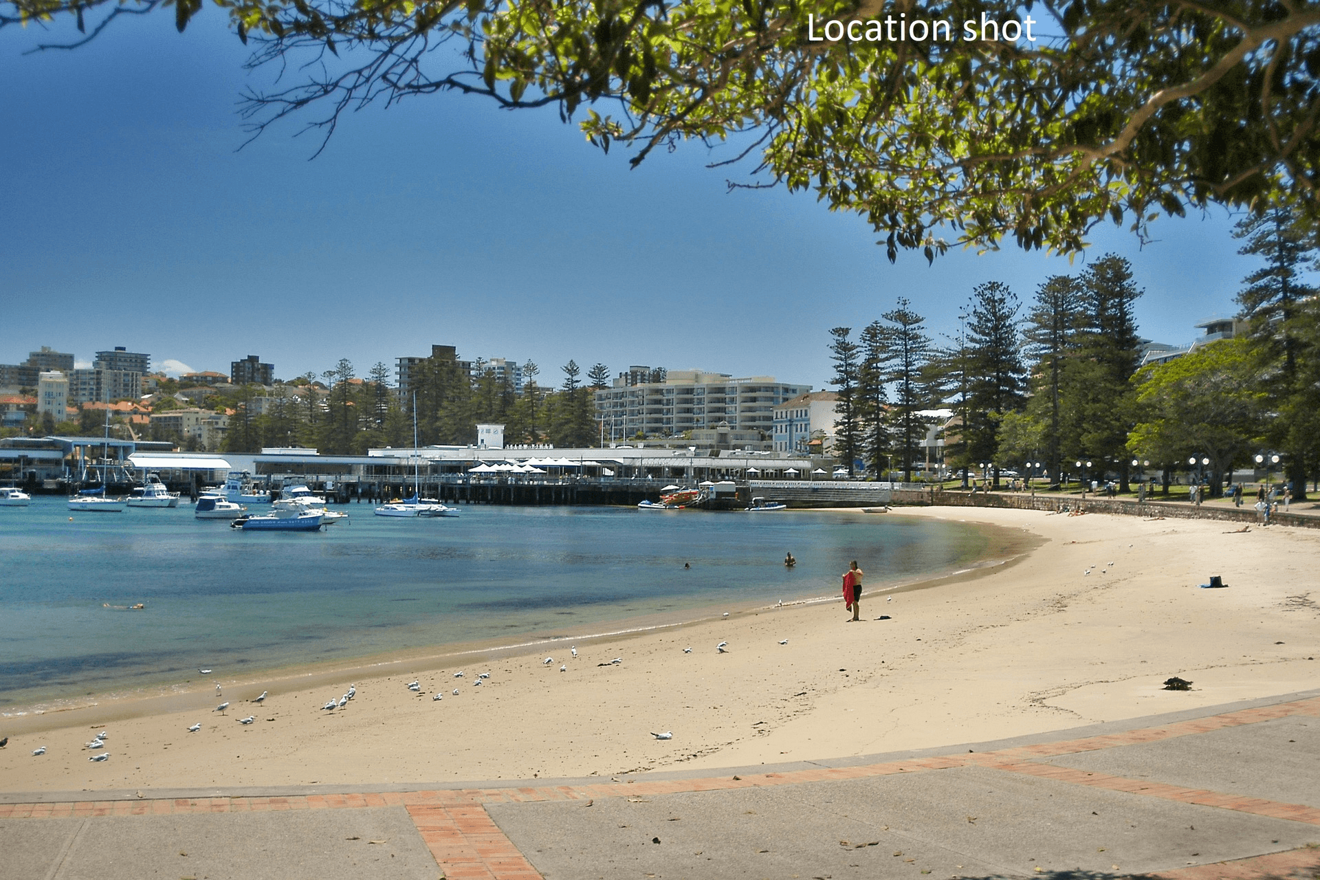 1/65 Addison Road, Manly, NSW 2095