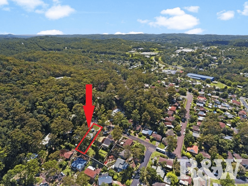 56 Narooma Road, Niagara Park, NSW 2250