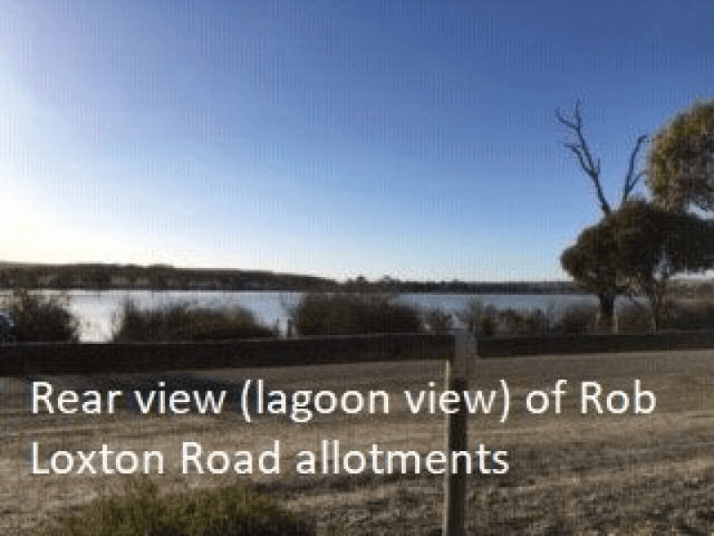 124 Rob Loxton Road, WALKER FLAT, SA 5238