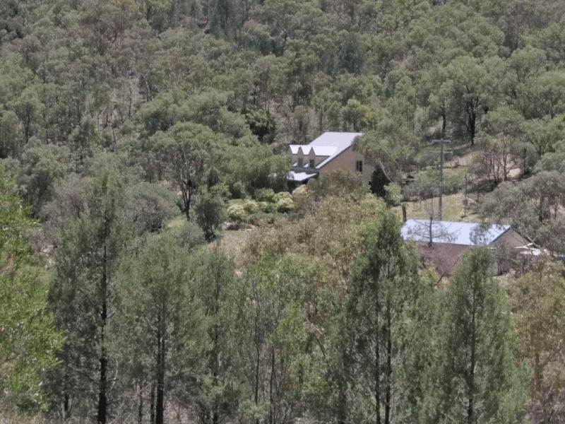 238 Kerridene Road, Piallamore, NSW 2340