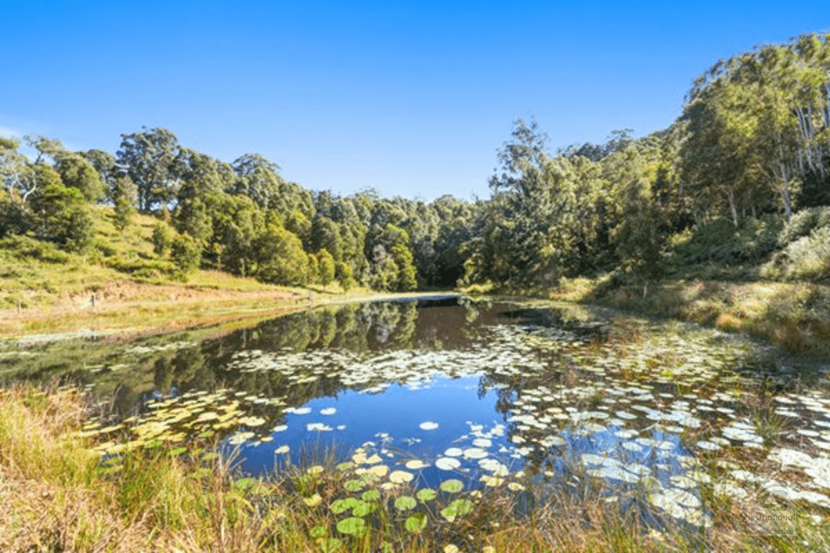 83 Nolans Road, Stokers Siding, NSW 2484