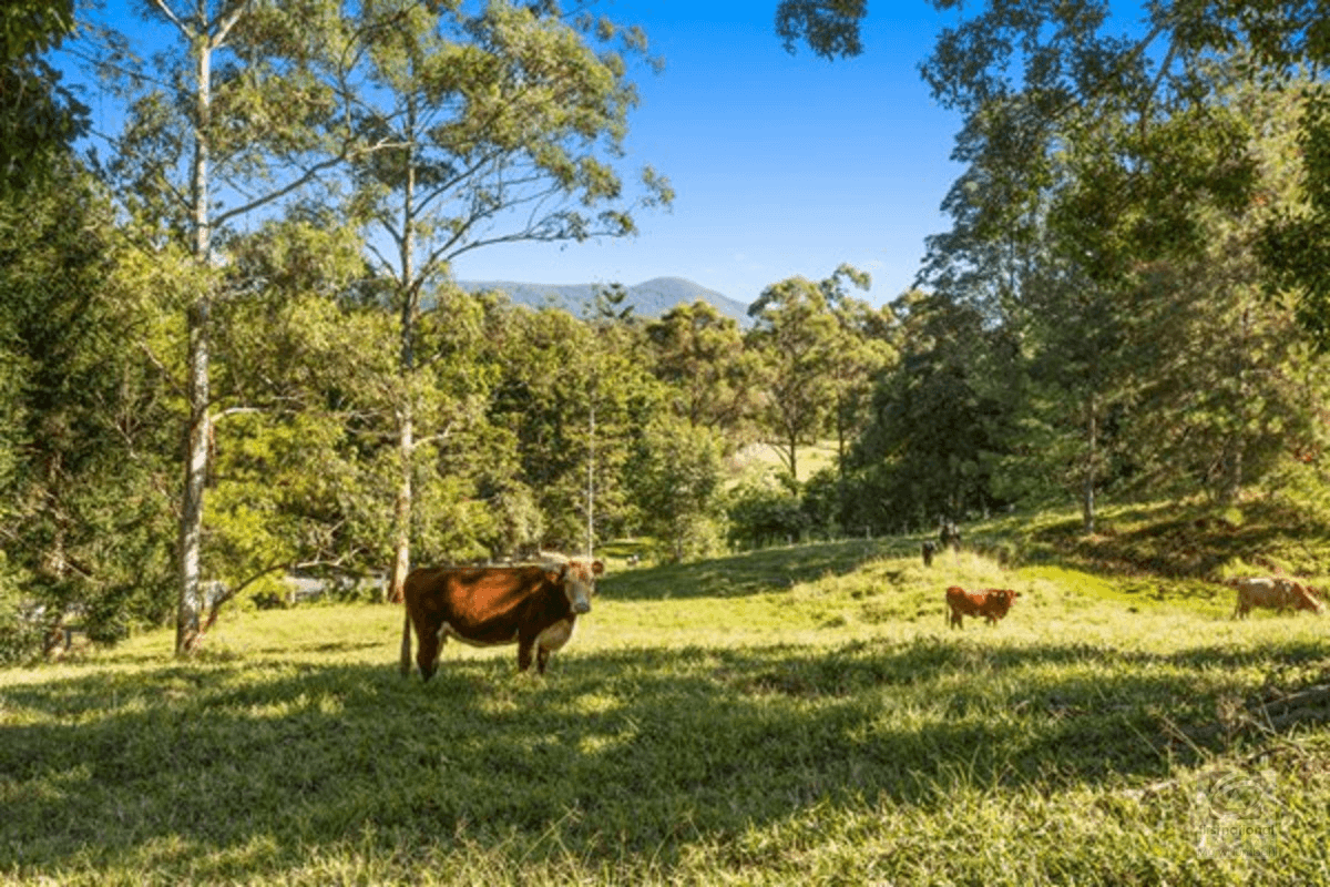 83 Nolans Road, Stokers Siding, NSW 2484