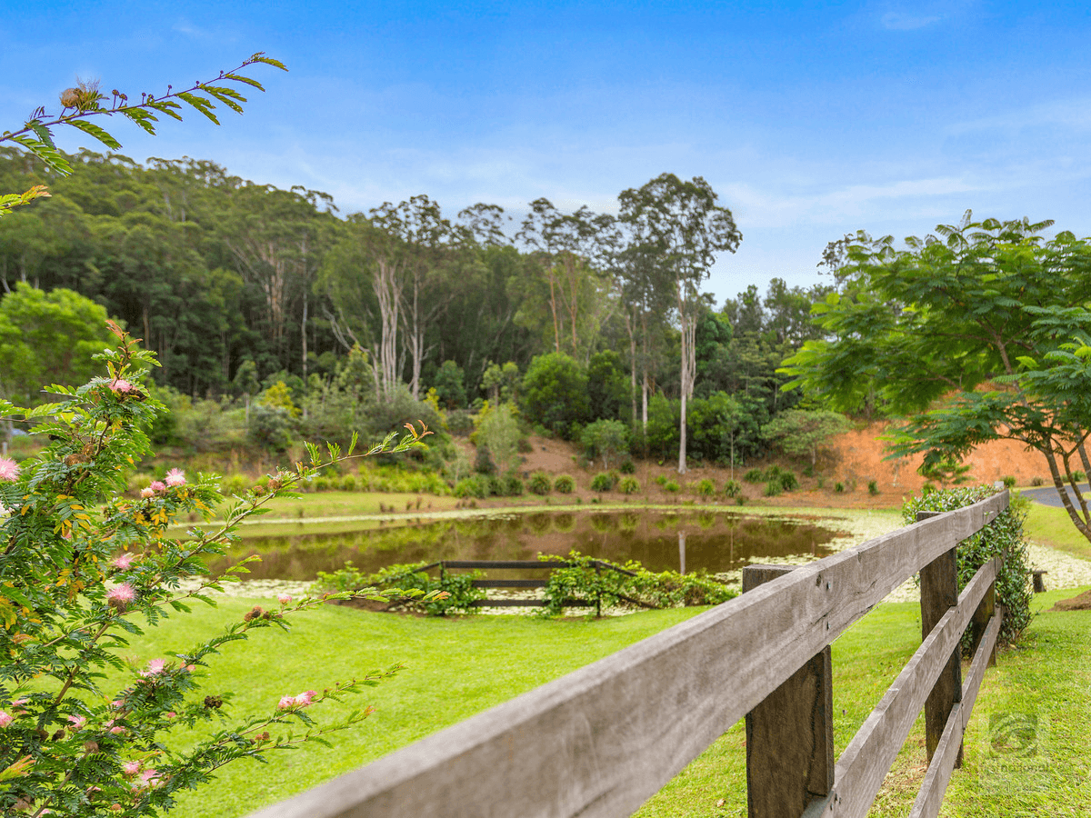 157 Tunnel Road, Stokers Siding, NSW 2484