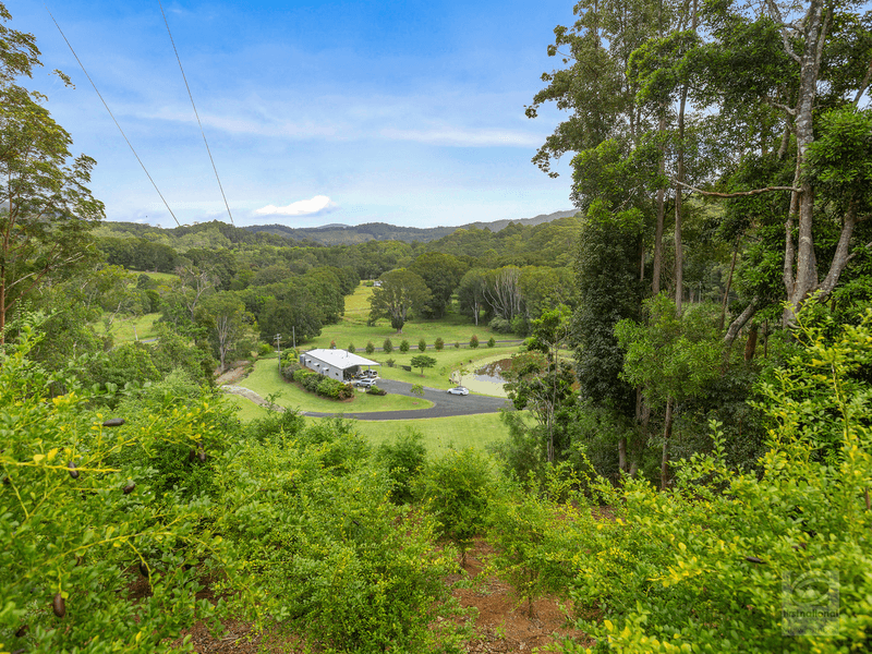 157 Tunnel Road, Stokers Siding, NSW 2484