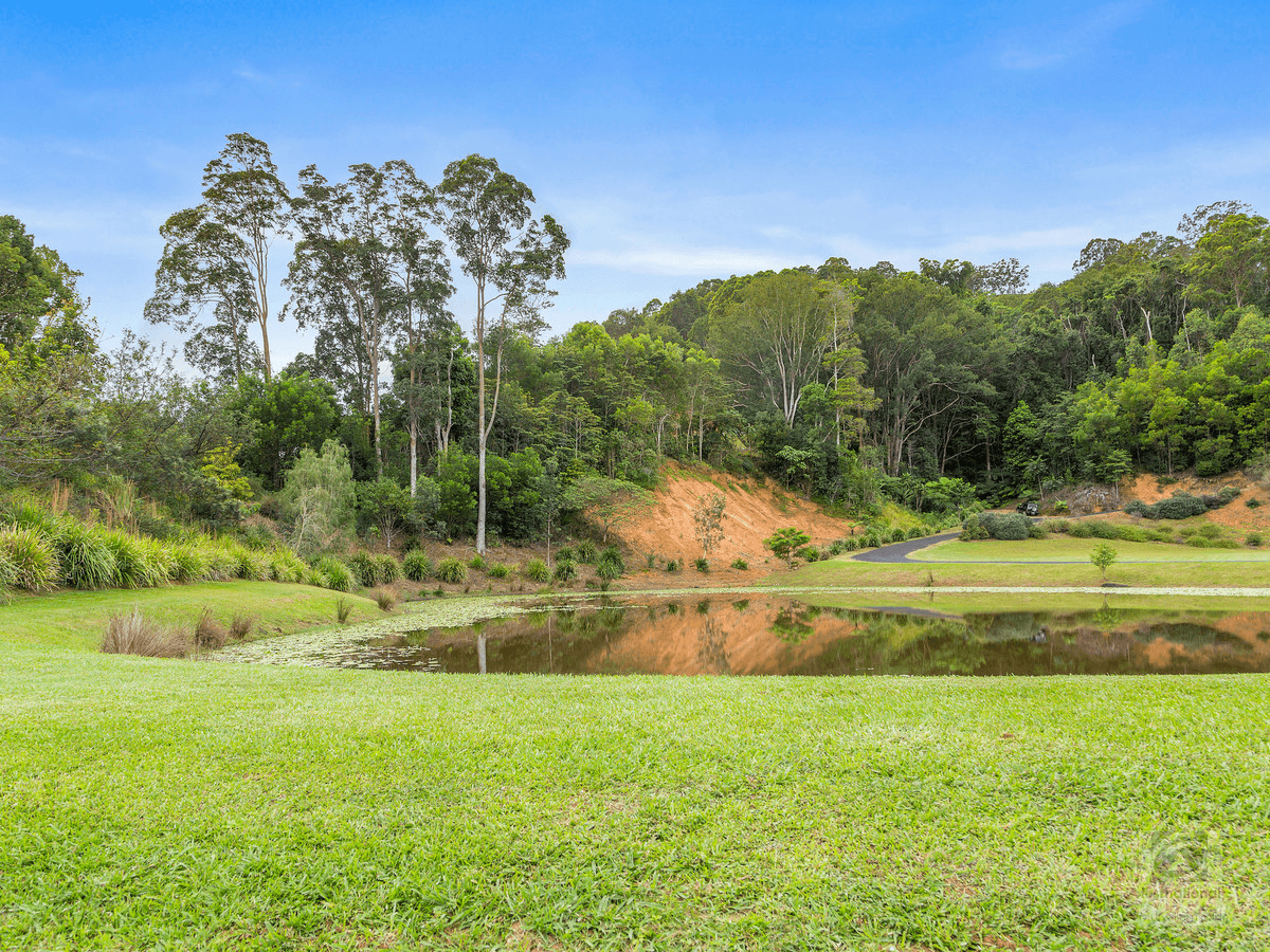157 Tunnel Road, Stokers Siding, NSW 2484