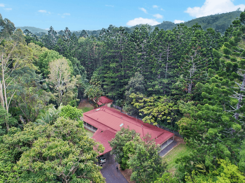 21 The Grove, Nunderi, NSW 2484