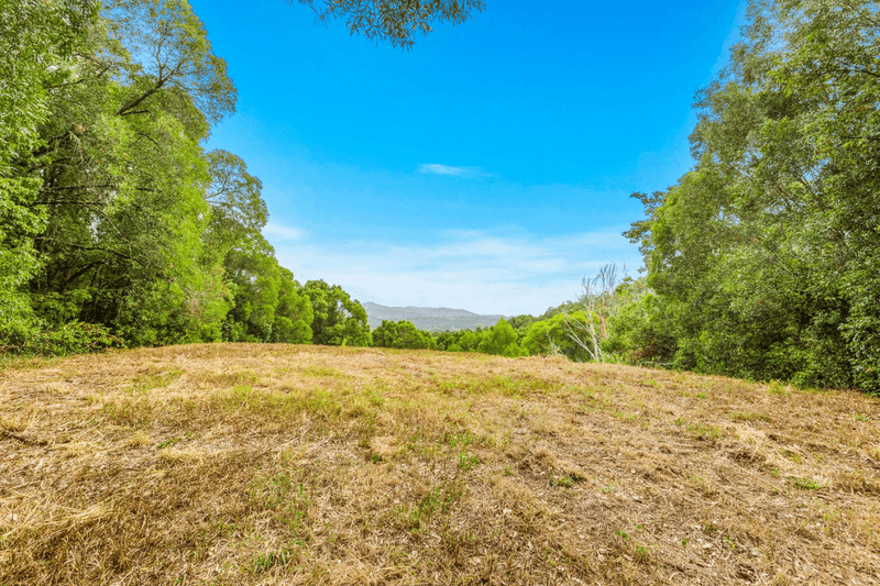 166 Crooks Valley Road, Crystal Creek, NSW 2484