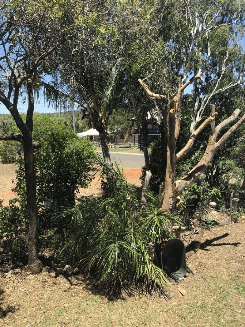 80 Landsberg Road, Stanage, QLD 4702