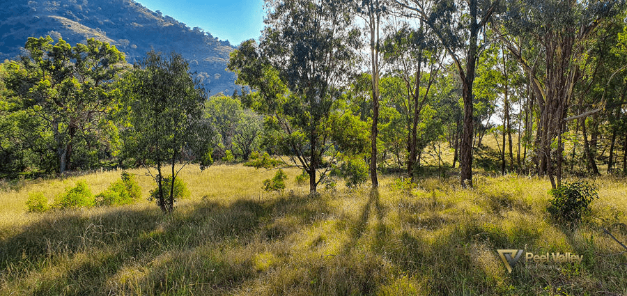 Lot 2 Halls Creek Road, HALLS CREEK, NSW 2346