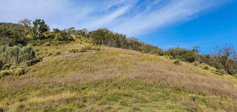 Lot 2 Halls Creek Road, HALLS CREEK, NSW 2346