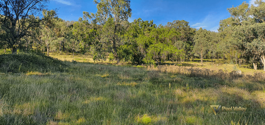 Lot 2 Halls Creek Road, HALLS CREEK, NSW 2346