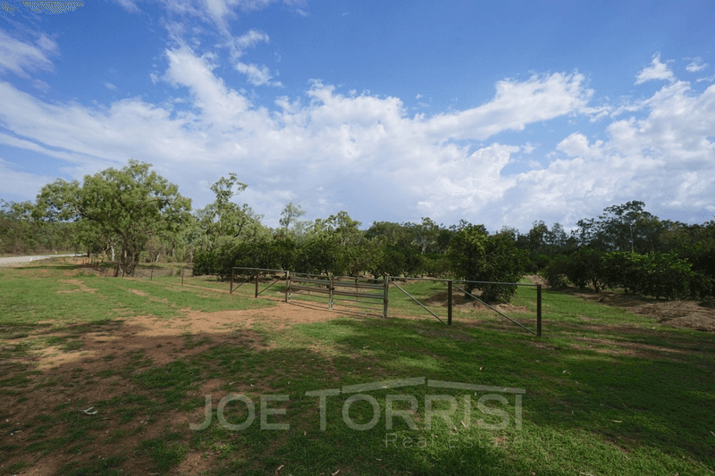 282 Hodzic Road, Biboohra, QLD 4880