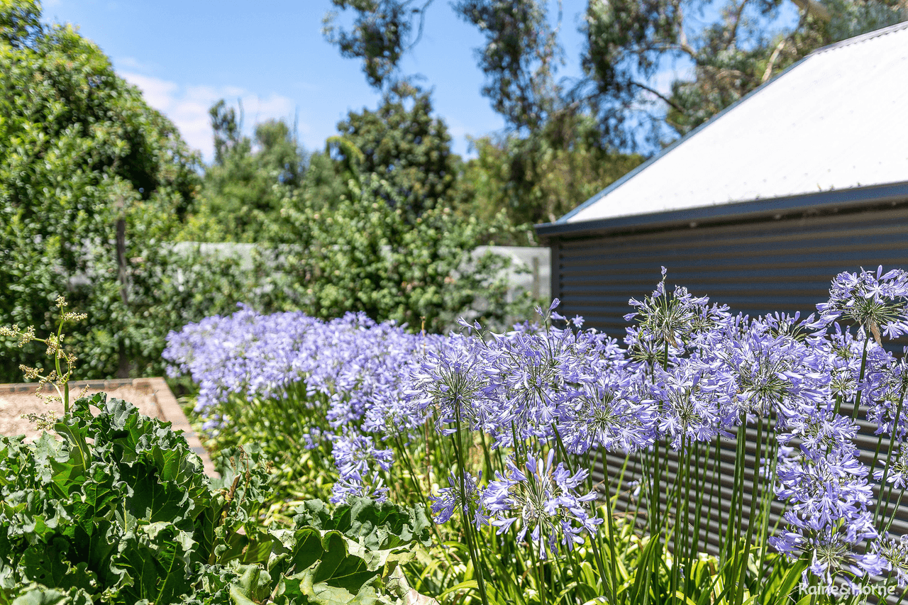 93a North Road, NAIRNE, SA 5252