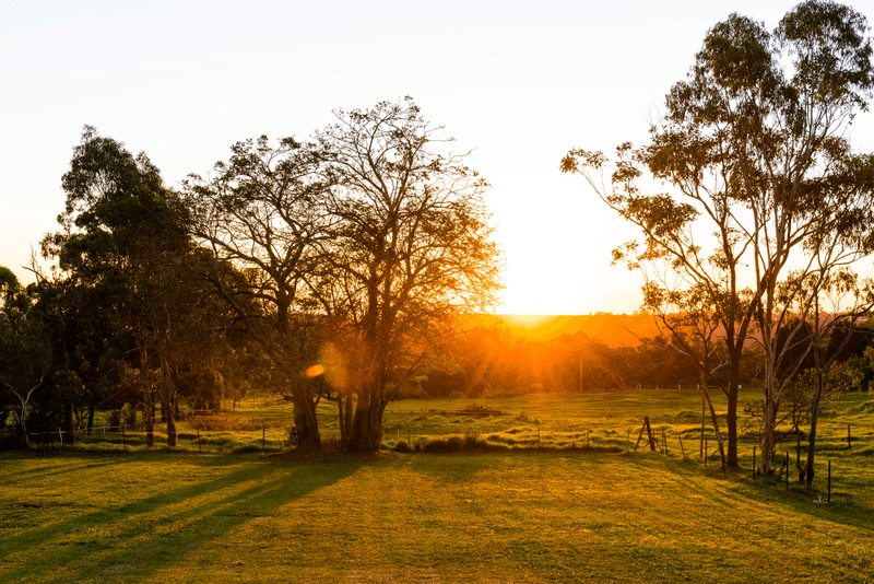 5 Myoora Road, TERREY HILLS, NSW 2084