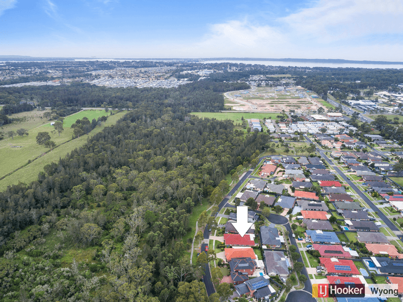 20 Cherry Blossom Crescent, Hamlyn Terrace, NSW 2259