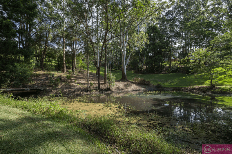 13 Blackbutt Avenue, REPTON, NSW 2454